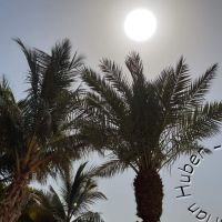 20180531_091915