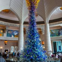 IMG_0542_2