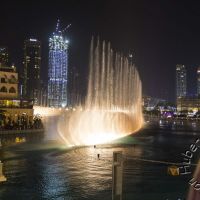 IMG_0878_2