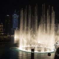 IMG_0881_2
