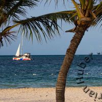 IMG_3877_2