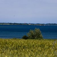 IMG_7839_3